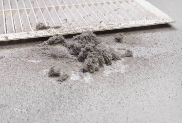 Best Best Air Duct Cleaning Company  in Zolfo Springs, FL