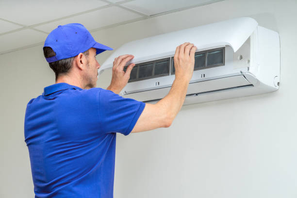 Best Air Duct Mold Removal  in Zolfo Springs, FL
